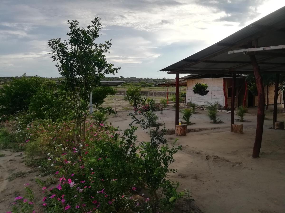 Pachingo La Primavera Вилявеха Екстериор снимка
